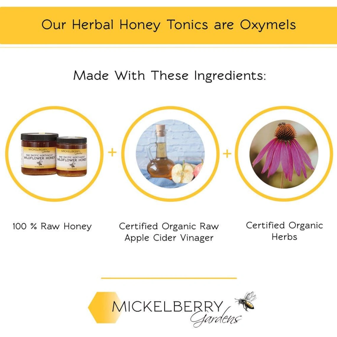 Fire Cider Honey Tonic - 2 oz - Image 2