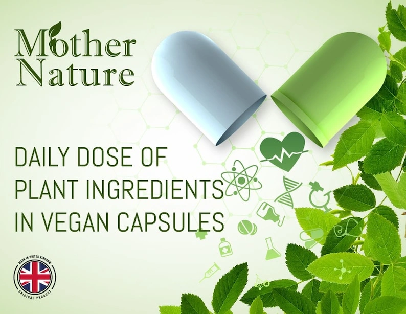 Jiaogulan Capsules: 500mg High Potency Vegan Supplement - 60 Capsule - Image 4