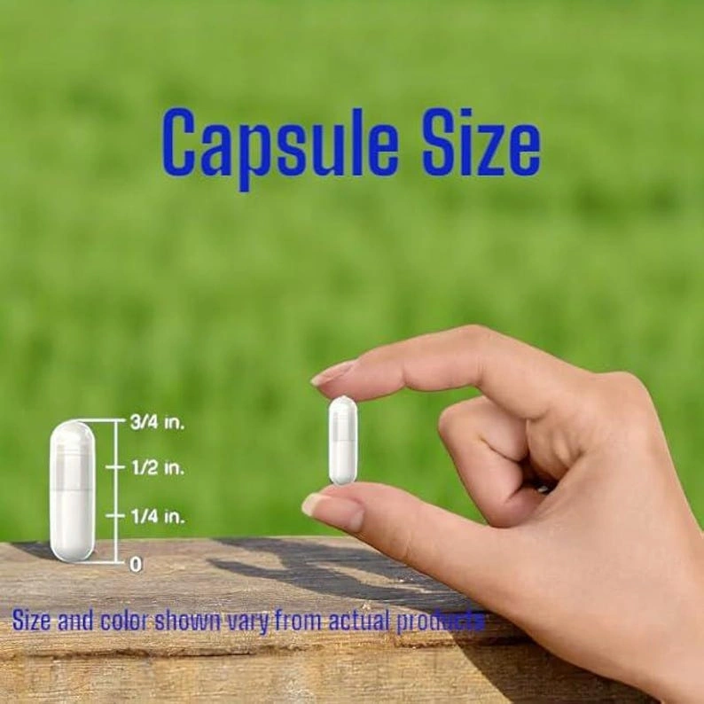 VitaCosmoX L-Carnitine Tartrate - 240 Vegan Capsules - Image 2